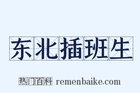 东北插班生是什么意思的图片